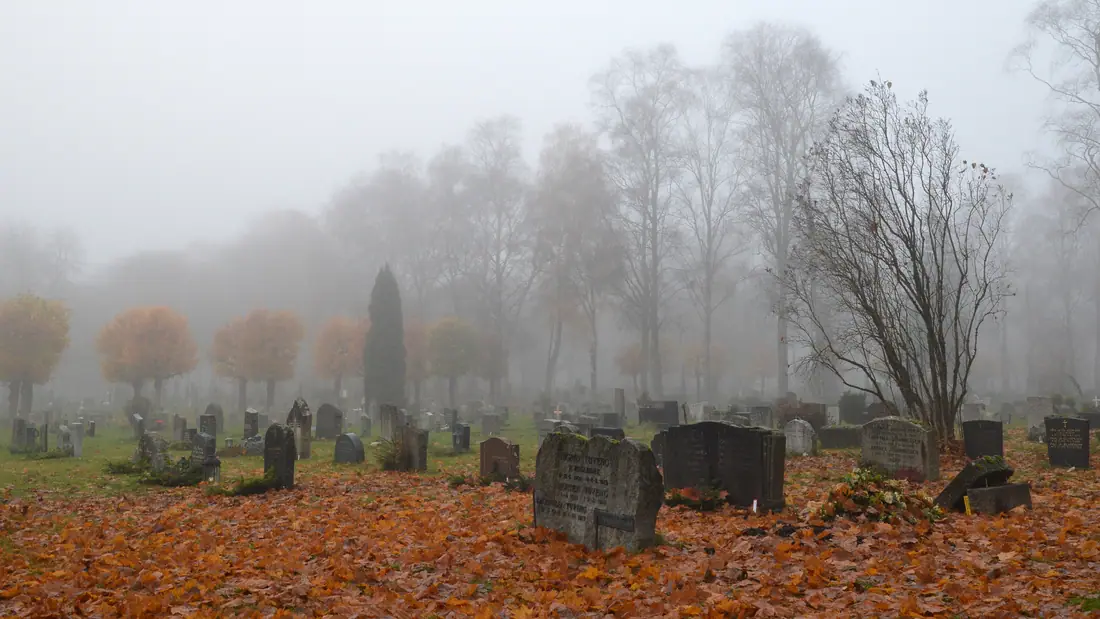Rows of headstones and bare trees at Vestre gravlund, the western civil cemetery in Oslo, Norway.