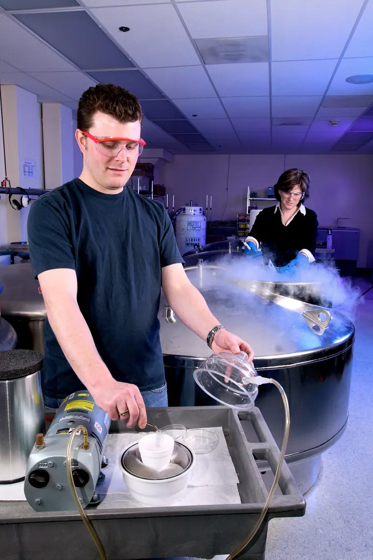 A gloved researcher lowering samples into a liquid nitrogen cryostorage vessel, vapour rising.