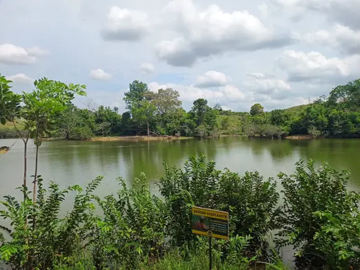 A still lake fringed with tropical trees on the grounds of Hacienda Nápoles.