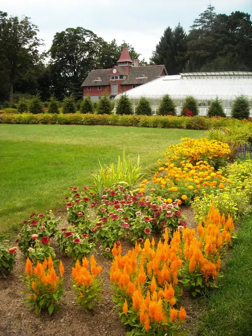 The rose garden at Springwood with a white marble monument marking the Roosevelt gravesite, enclosed by a clipped hedge.