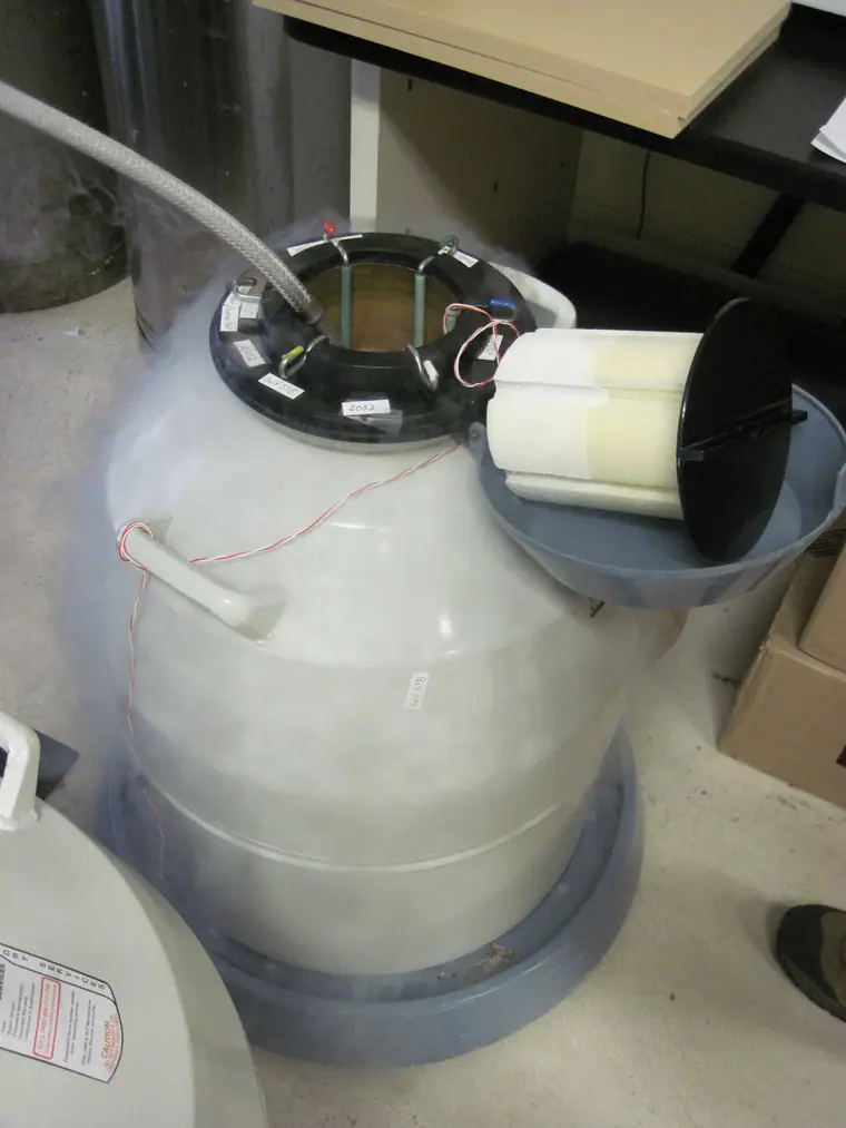 Liquid nitrogen being poured into a metal cryopreservation dewar, vapour spilling over the rim.