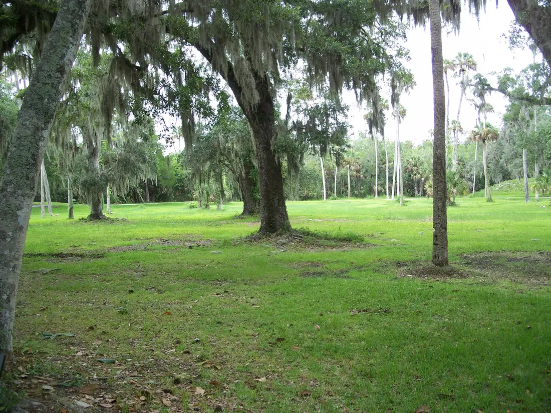 The open grassed plaza area at the centre of the Crystal River mound complex, ringed by trees.