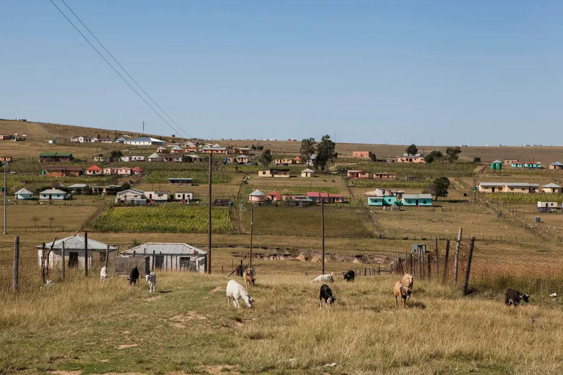 Green hills and scattered houses at Qunu in the Eastern Cape, South Africa.