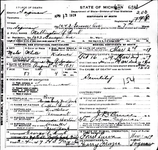 Printed and hand-completed 1919 Michigan certificate of death with columns of registrar's entries.